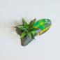 Preview: Lucky Reptile Sukkulente
